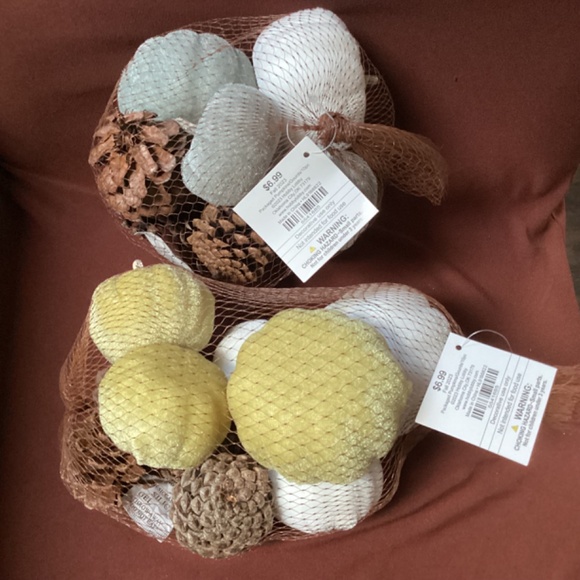 Fall 2023 Packaged Pumpkins/Gourds/10 pc New With Tag - Picture 3 of 8